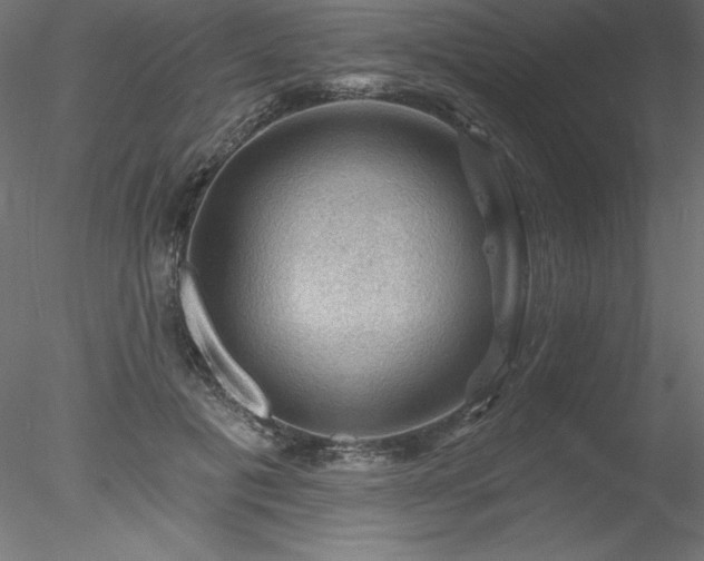 X0000078030601200611031539