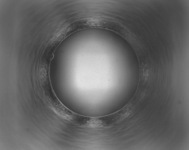 X0000078030603200611031539