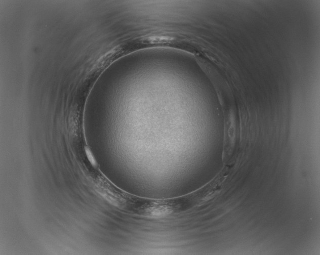 X0000078030604200611031539