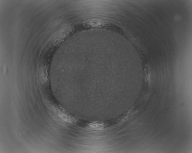 X0000078030606200611031539