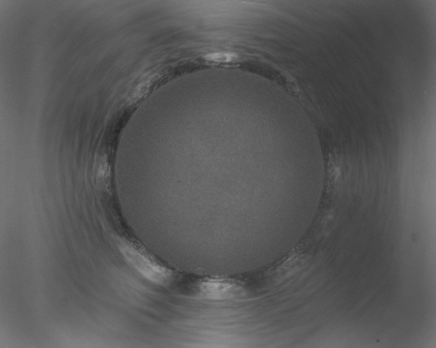 X0000078030614200611031539