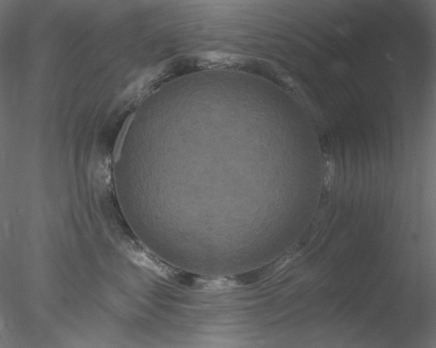 X0000078030621200611031539
