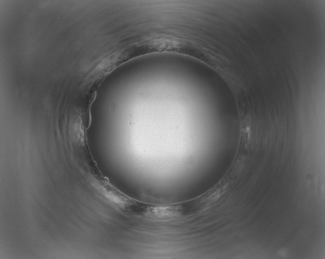 X0000078030622200611031539