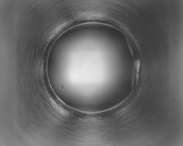 X0000078030629200611031538