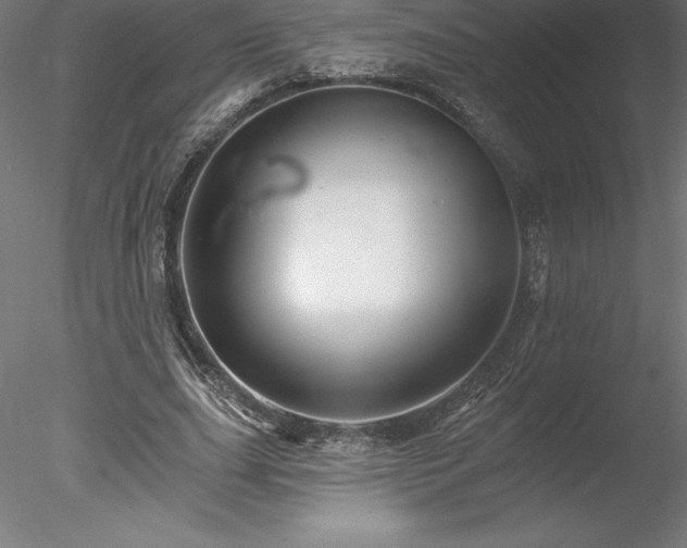 X0000078030631200611031538