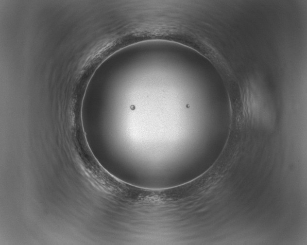 X0000078030635200611031538