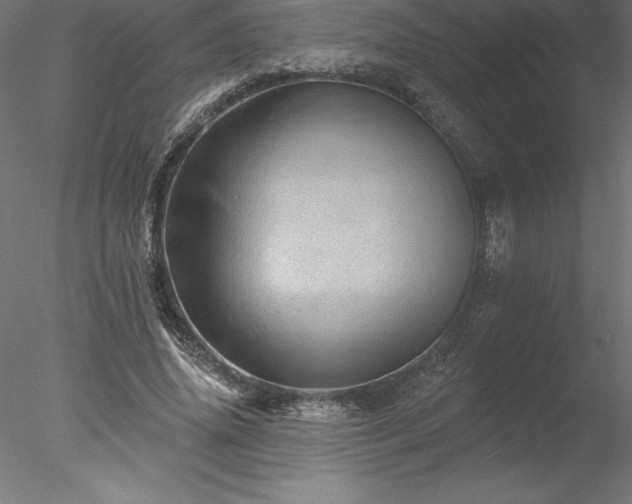 X0000078030636200611031538
