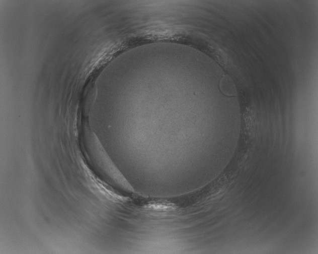 X0000078030642200611031539