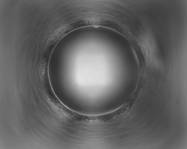 X0000078030645200611031539