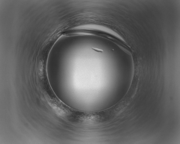 X0000078030646200611031539