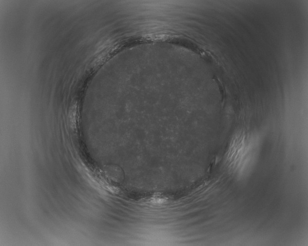 X0000078030647200611031539