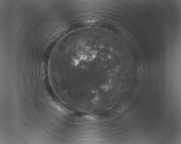 X0000078030654200611031539