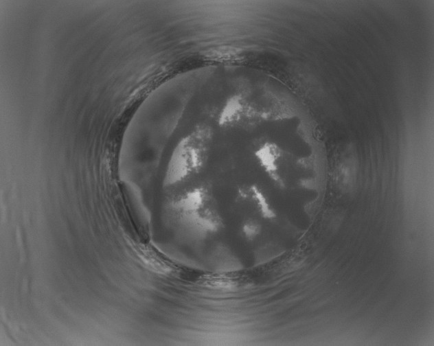 X0000078030658200611031539