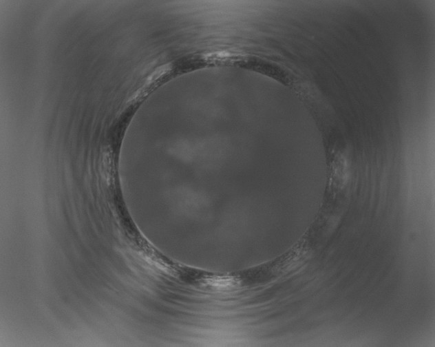 X0000078030659200611031539