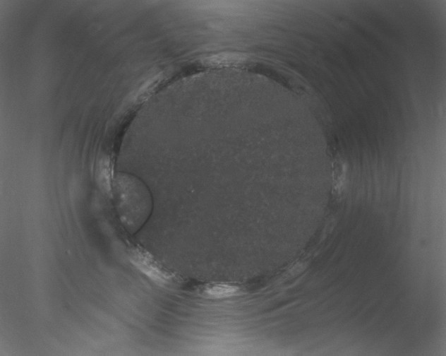 X0000078030669200611031539