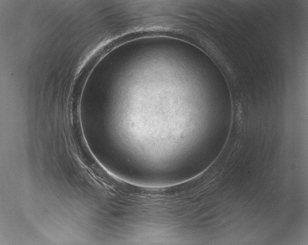 X0000078030676200611031538