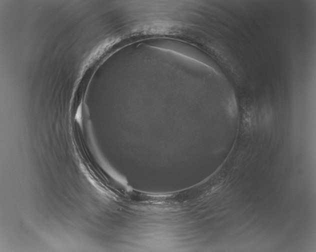 X0000078030678200611031538