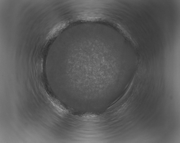 X0000078030685200611031538