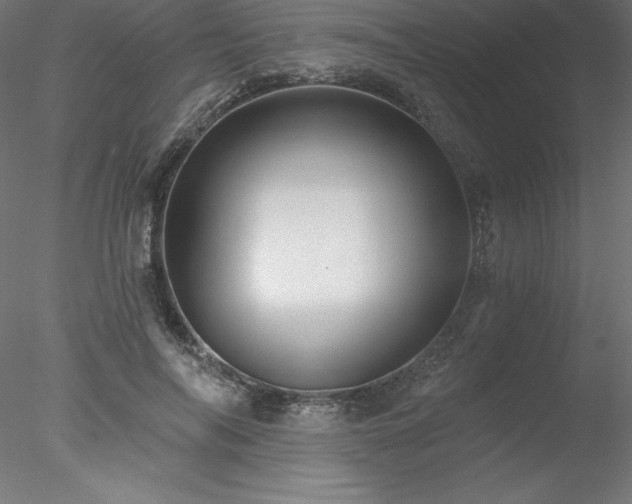 X0000078030694200611031538