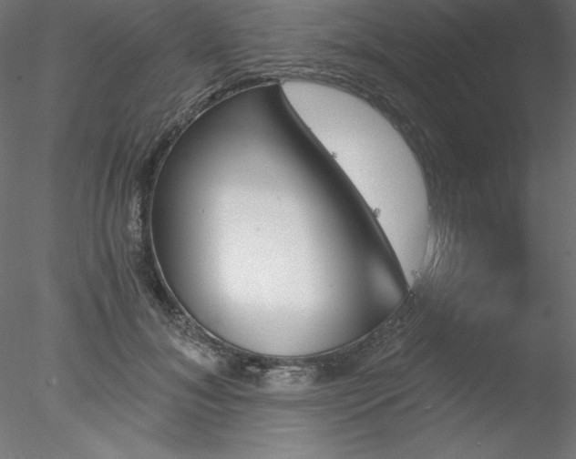 X0000078030700200611031538