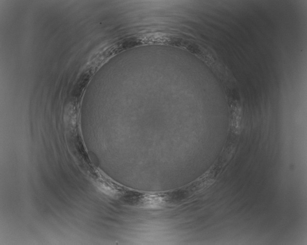 X0000078030701200611031538