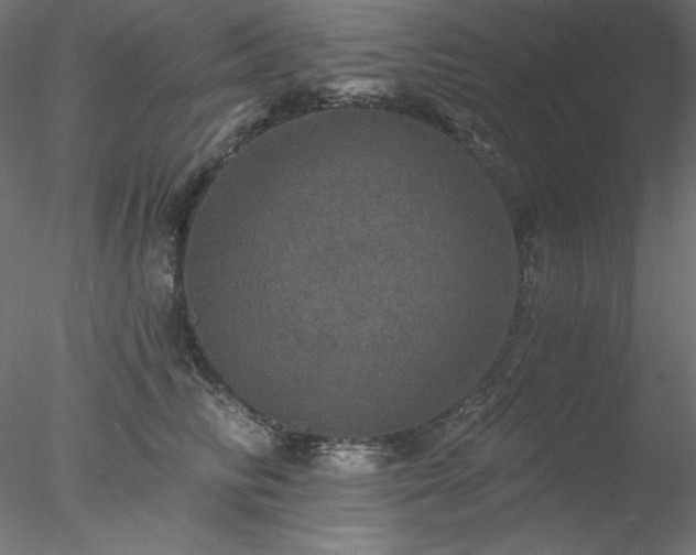 X0000078030710200611031538