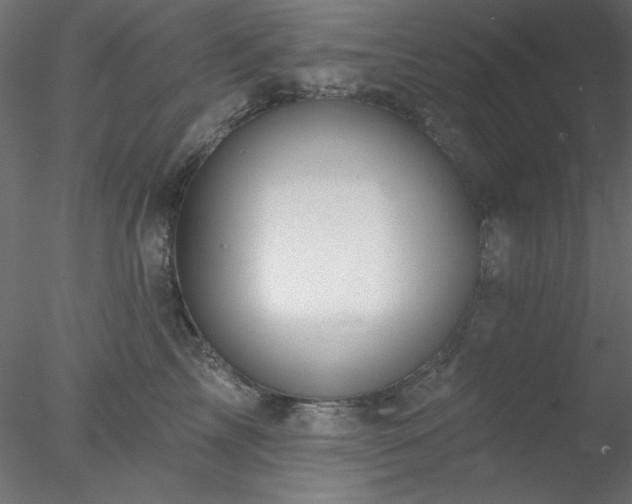 X0000078030713200611031538