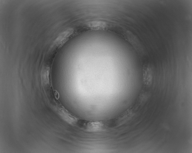 X0000078030717200611031538