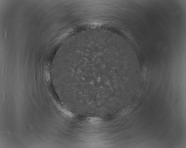 X0000078030719200611031537