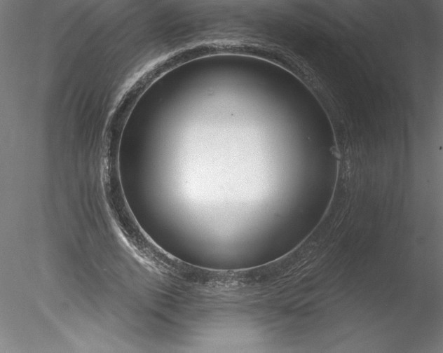 X0000078030728200611031537