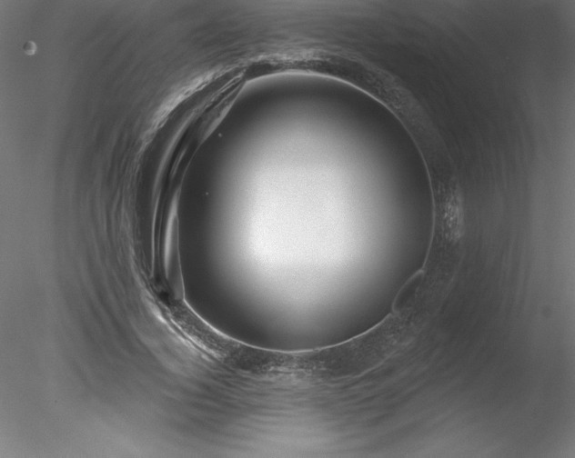 X0000078030732200611031537