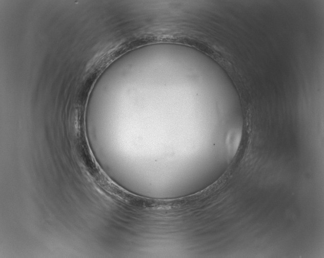 X0000078030740200611031537