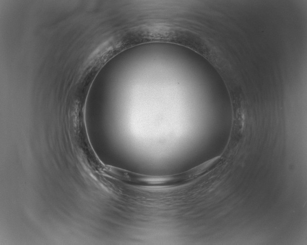 X0000078030744200611031537