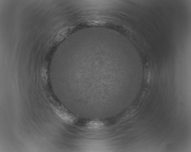 X0000078030749200611031537
