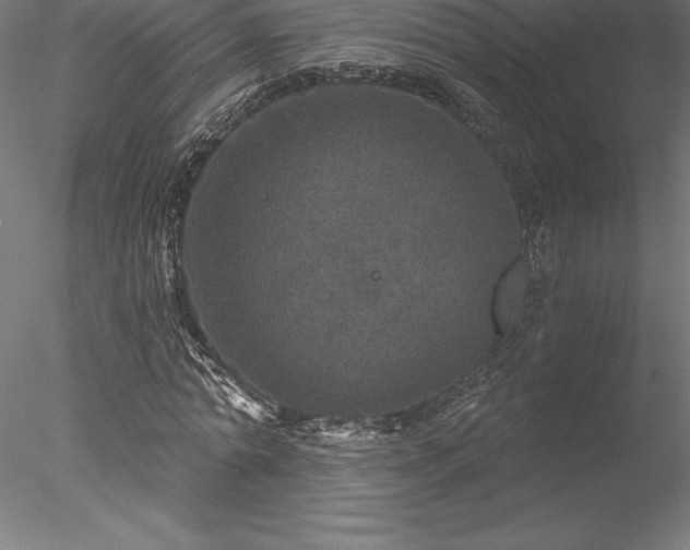 X0000078030774200611031537