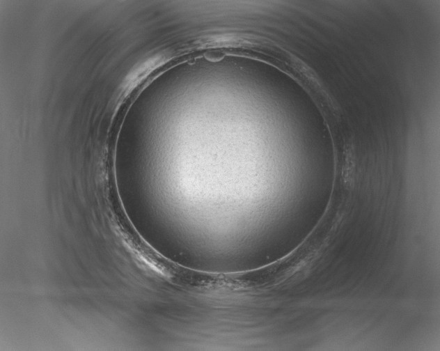 X0000078030786200611031536