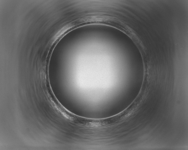 X0000078030794200611031536