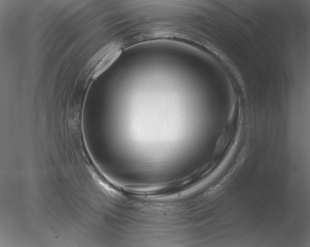 X0000078030801200611031536
