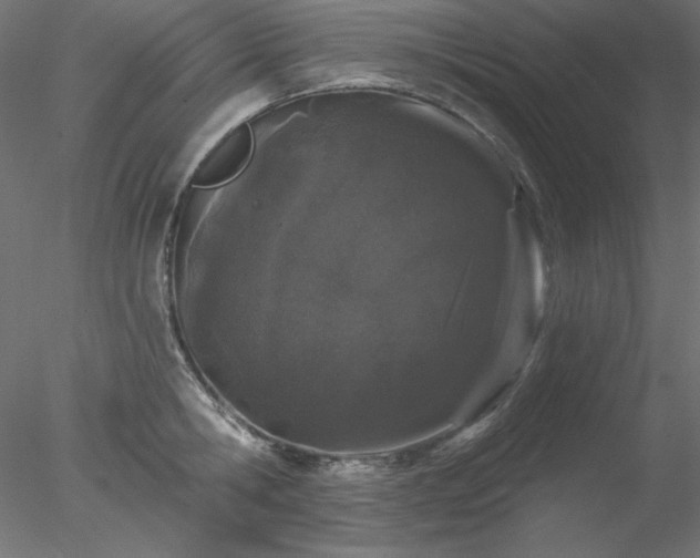 X0000078030806200611031536