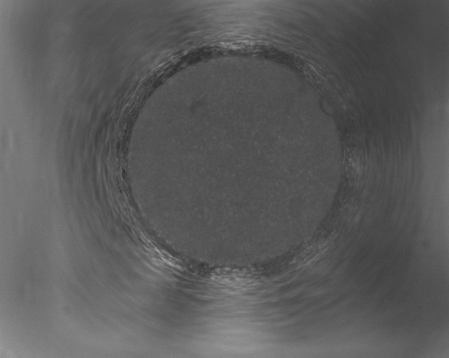 X0000078030817200611031535