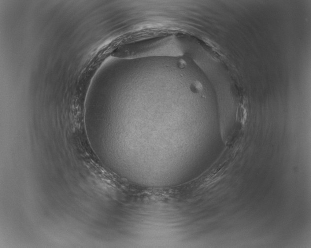 X0000078030822200611031535