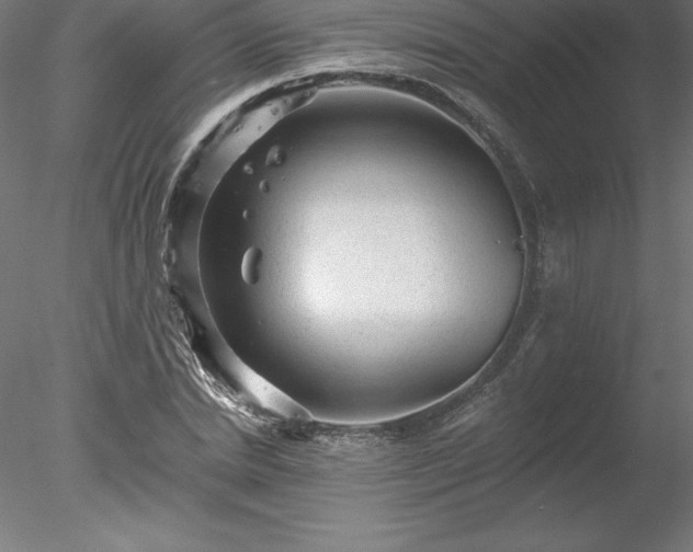 X0000078030830200611031535