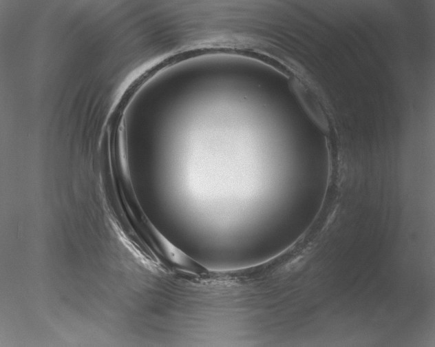 X0000078030838200611031535