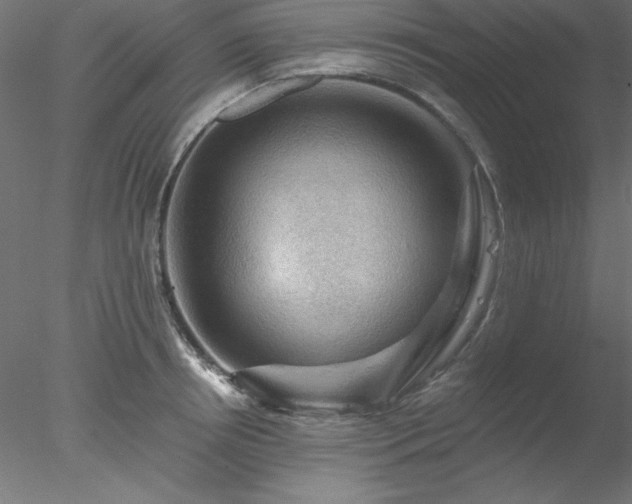 X0000078030850200611031536