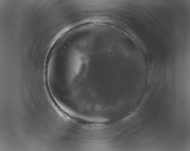 X0000078030853200611031536