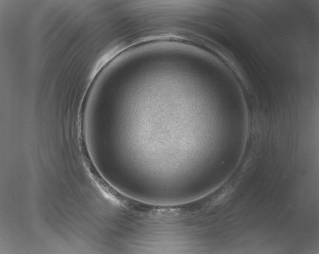 X0000078030858200611031536