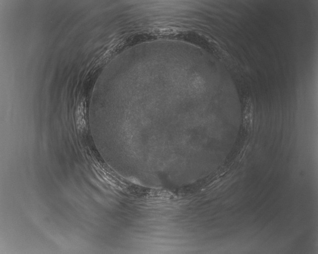 X0000078030866200611031535
