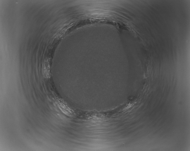 X0000078030868200611031535