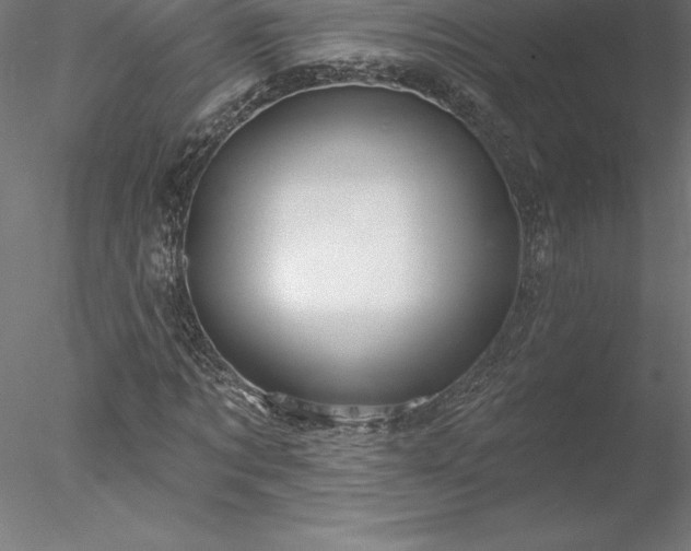 X0000078030869200611031535