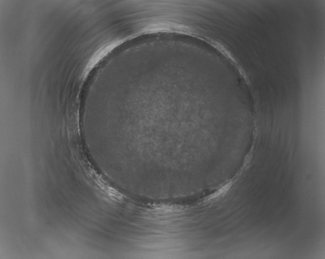 X0000078030877200611031535